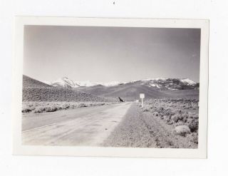 C1945 Photo Highway 395 At Sonora Junction Bridgeport Mono Co Ca