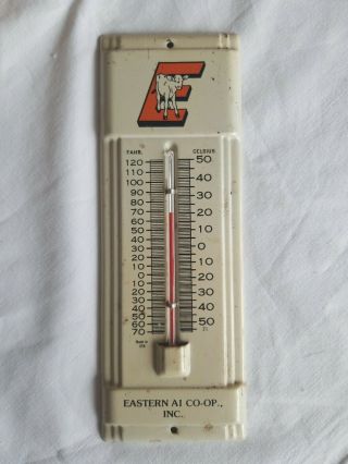 Vintage Eastern Ai Co - Op Feed Seed Cow Advertising Thermometer