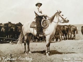 Western Canada Ranching Series No10 Mounted Cowboy 1912 Real Photo Postcard