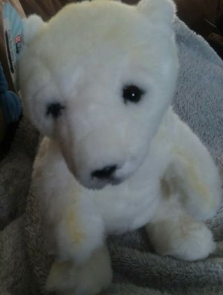 Go Adorable Stuffed Animal Sitting Polar Bear 13 "