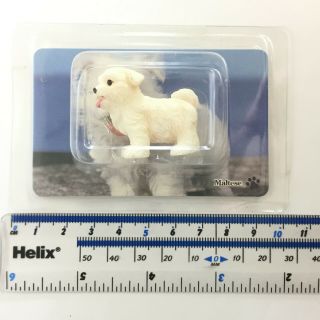 Koinu Monogatari 2 Dog Puppy Mini Figure 17 Maltese Kabaya Japan