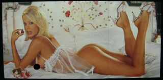 Playboy Centerfold Only February 2001 Julia Schultz Man Cave Poster Buy3 Get4