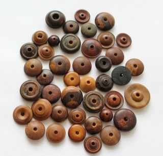 Vegetable Ivory Whistle Buttons