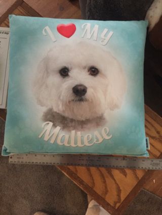 Maltese - Book And Pillow Set