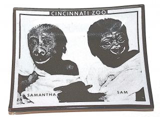 Samantha & Sam Gorilla Cincinnati Ohio Zoo Ashtray Souvenir
