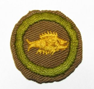 Angling Merit Badge Type C Boy Scouts Of America Bsa 1940 