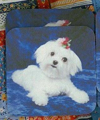 Maltese Puppy Rubber Backed Coasters 0968