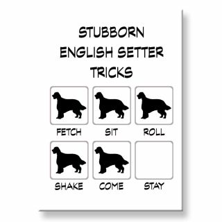 English Setter Stubborn Tricks Fridge Magnet Steel Case Funny