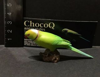 Kaiyodo Animatales Choco Q Series 6 Rose - Ringed Parakeet Bird Figure