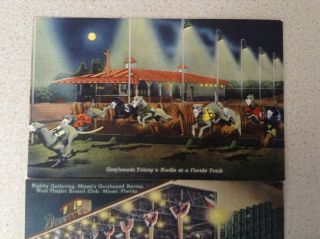 West Flagler Kennel Club Greyhound Race Racetrack Two Postcards
