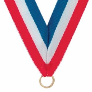 Boy Scout Order Award Medal Distinguished Eagle Neck Red White Blue Bsa Ribbon