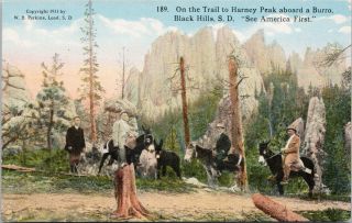 Black Hills Sd South Dakota Trail To Harney Peak People Burros Postcard F21