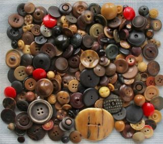 Assortment Of Over 200 Vegetable Ivory Buttons