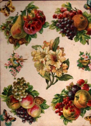 Victorian Scrapbook Cover With Die Cut Chromo Scraps Of Fruit & Flowers