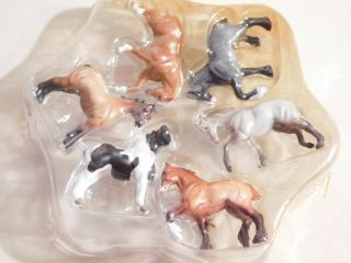2008 Mini Whinnies,  Draft Horses 300117,  Set Of 6 In Plastic Molded Holder