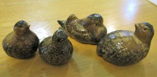 4 Vintage Ceramic Pottery Perfect Partridge Quail Family Figurines Brown