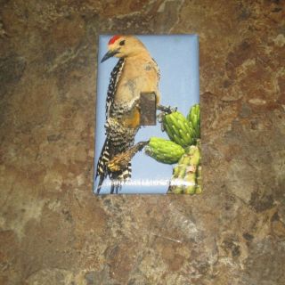 Gila Woodpecker Wild Bird Light Switch Cover Plate
