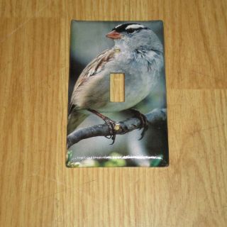 White - Crowned Sparrow Wild Bird Light Switch Cover Plate