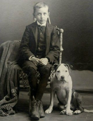 Vintage Photo Of Boy And His Dog 1920 
