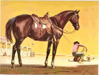 1962 Quarter Horse Print By Sam Savitt -