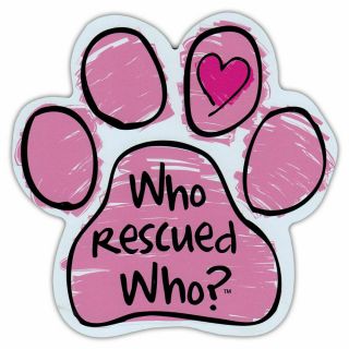 Paw Shaped Scribble Pink Car Magnet Who Rescued Who For Cars,  Refrigerator,  Etc