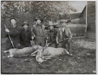 Old Photo Group Of Men Hunters Holding Rifles Bullet Belt And Deer 1910s