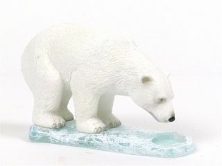 Royal Darwin Wildlife Polar Bear Figurine Collectible Animal Ra00102