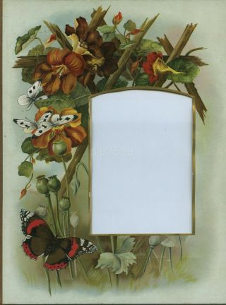 Page From Victorian Photo Album 1 - Flowers & Butterflies
