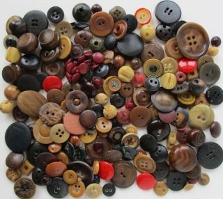 Assortment Of Over 175 Vegetable Ivory Buttons
