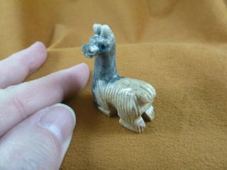 Y - Lla - Si - 46) Baby Gray Llama Carving Soapstone Stone Peru Figurine I Love Llamas