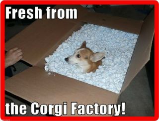 Funny Corgi Dog Factory Refrigerator / Tool Box Magnet