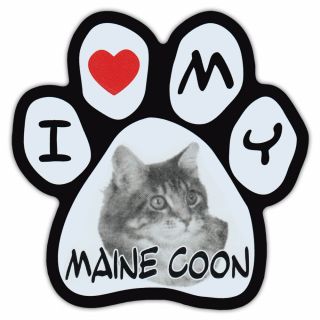 Picture Cat Paw Shaped Car Magnet - Maine Coon - Bumper Sticker Decal