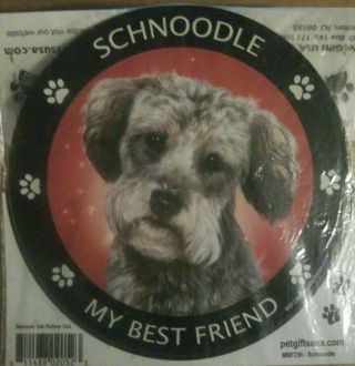 My Best Friend Dog Car Magnet Schnoodle