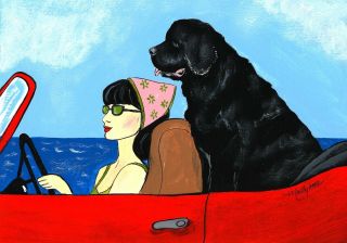 Colour Art Print Newfoundland Dog U Go Girl - 4 Newfie Dog Rescue Project