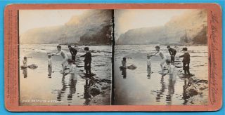 Stereoview - Boys Bathing At River Or Lake United Kingdom 1880 - 1890 
