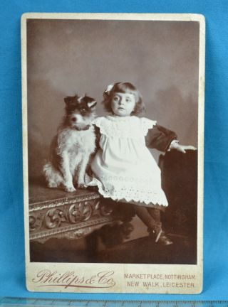 Charming 1880/90s Cabinet Card Photo Girl & Dog Terrier Phillips & Co Nottingham