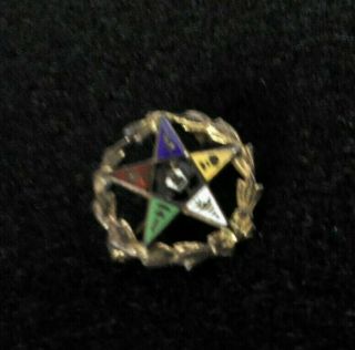 Vintage Order Of The Eastern Star,  Oes Lapel Pin,  Oes Jewelry