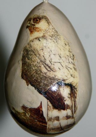 Gourd Easter Egg,  Garden Or Christmas Ornament With Hawk