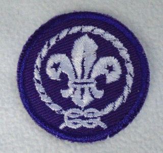 Bsa Boy Scouts Of America 100 Years Centennial World Crest Purple 2 " Patch 2010