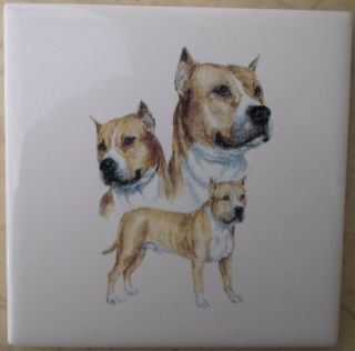 Ceramic Tile American Staffordshire Dog Pitbull