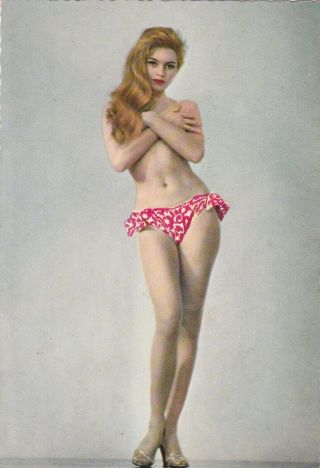 Brigitte Bardot - Hollywood Movie Star/actress Pin - Up/cheesecake 1950s Postcard
