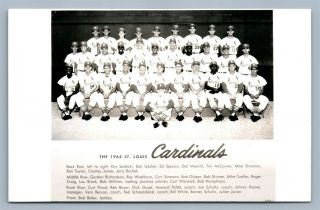St.  Louis Mo Baseball Team Cardinals 1964 Vintage Real Photo Postcard Rppc