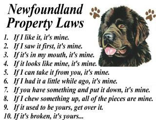 Parchment Print = Newfoundland Big Dog Breed Funny Property Law Framable Art