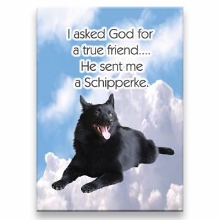 Schipperke True Friend From God Fridge Magnet Dog