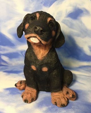 Adorable Large 9 " Castagna Infrangible Line Rottweiler Puppy Dog Figurine Italy