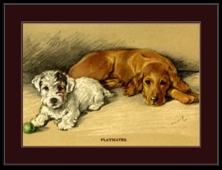 English Picture Poster Print Golden Retriever Sealyham Terrier Dog Dogs Art