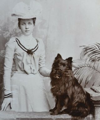 Charming 1880/90s Cabinet Card Photo Young Lady In White With Black Dog Brighton