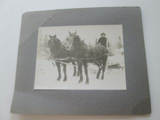 One (1) Late 1800s Early 1900s Cabinet Card,  Logger With Horse Team