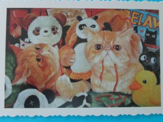 Postcard,  Cute Cats,  Pattern Edging,