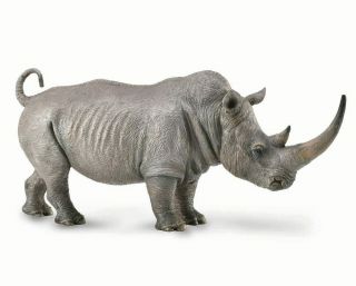 Collecta White Rhinoceros 88852 Rhino Wildlife Model Toy Figurine
